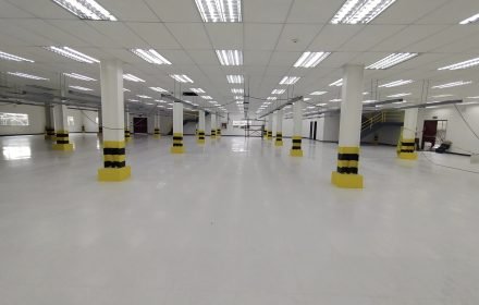 441319605 877190687551814 9115800658077245188 n